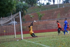 FUT-CAMPO-SERIE-OURO-24