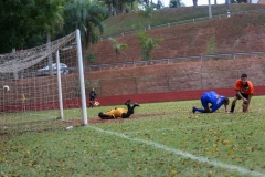 FUT-CAMPO-SERIE-OURO-27